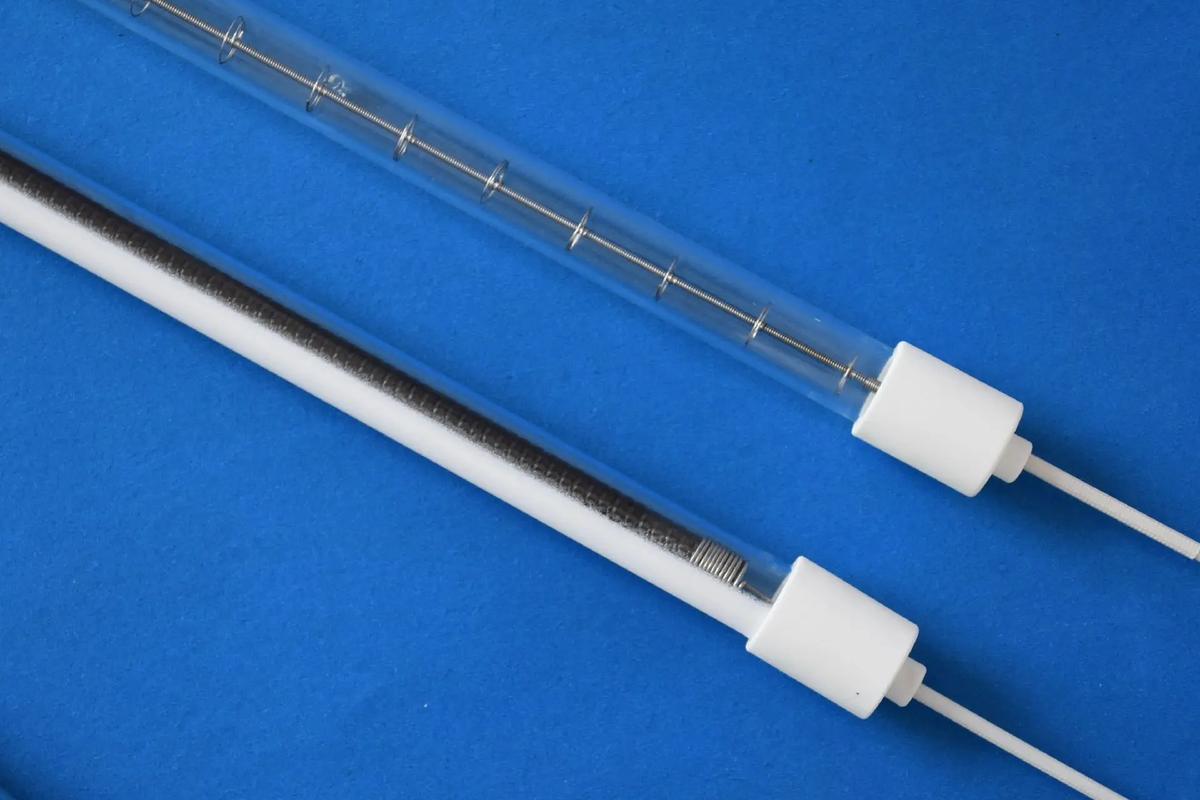 �������в����ȵƹ�